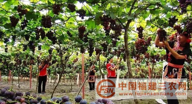 微信图片_20180525110700.jpg