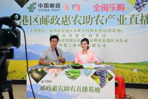 泉港区:创新开辟“邮政直播基地” 拓展惠农助农扶农新空间