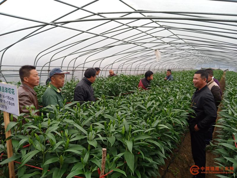 图片3_副本.jpg