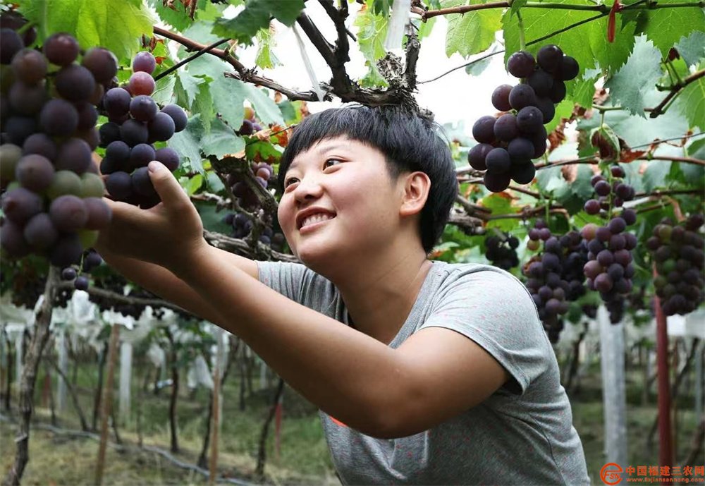 WPS图片(1).jpg