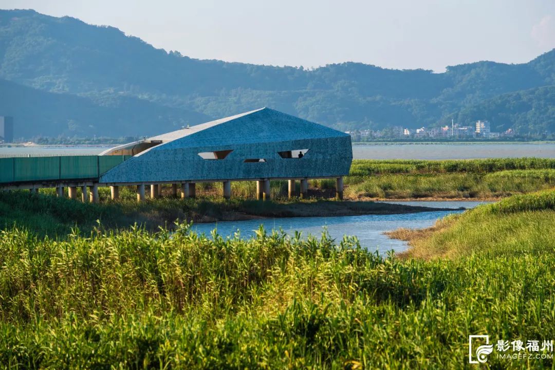 这片大美湿地踏上申遗路！