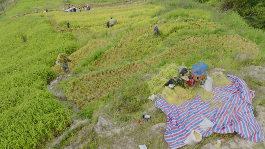 微信图片_20230417104158.png