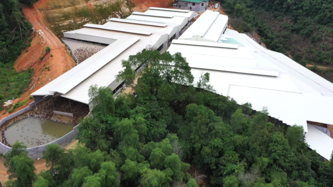 福建潮歌生态农业有限公司：延伸产业链 致富“油汪汪”