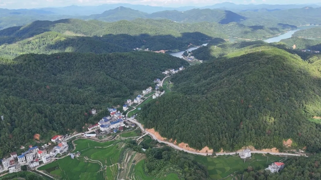 林票项目富农增收