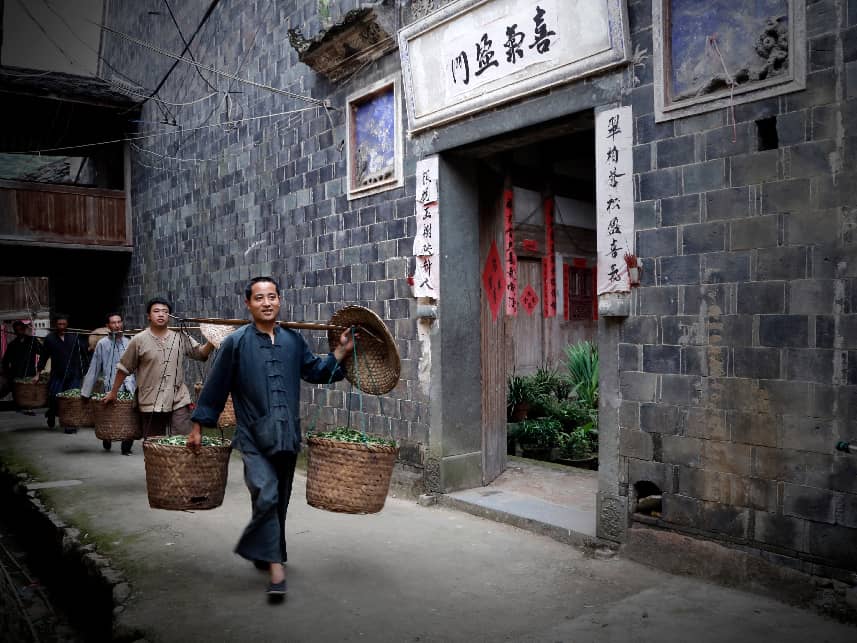 做好“工夫茶”,同饮“共富茶”——探索乡村振兴的宁德福安“坦洋实践” 做好“工夫茶”,同饮“共富茶”——探索乡村振兴的宁德福安“坦洋实践”